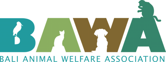 BAWA Bali Animal Welfare Association
