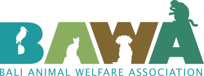 BAWA Bali Animal Welfare Association